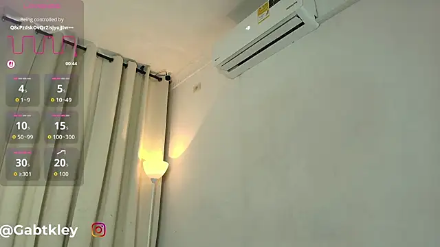 Gabtkley webcam