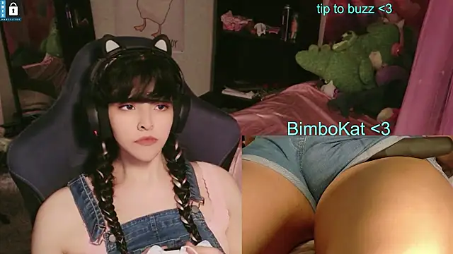 BimboCat webcam