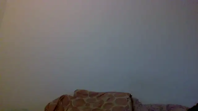 Kaappi1967 webcam