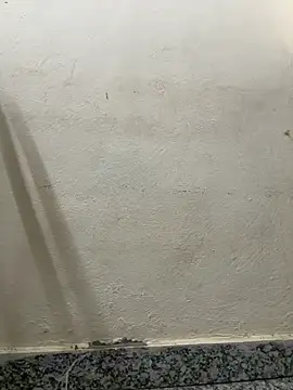 himanshisharmalive webcam