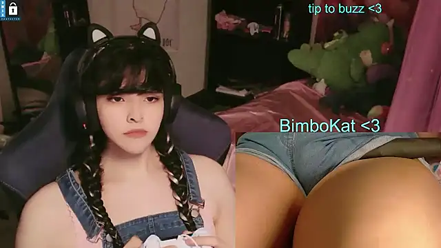BimboCat webcam