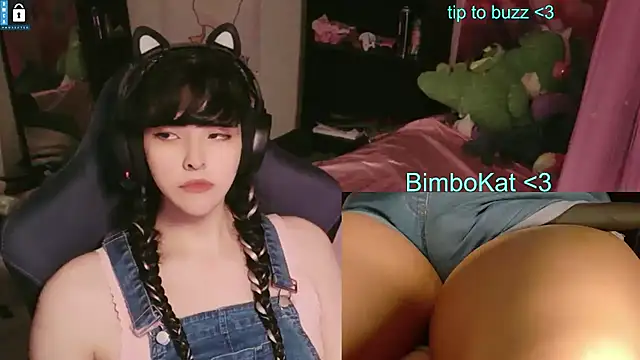 BimboCat webcam