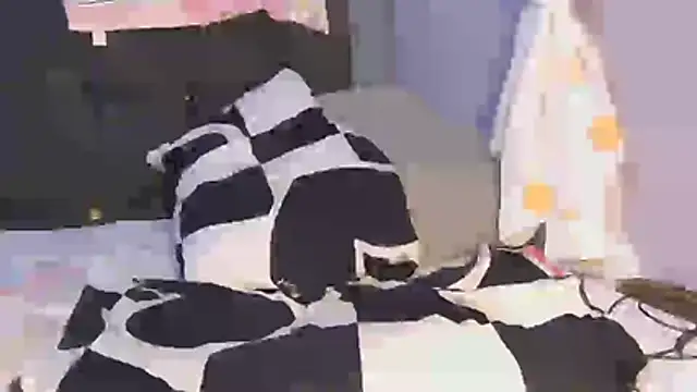 Dic_star webcam