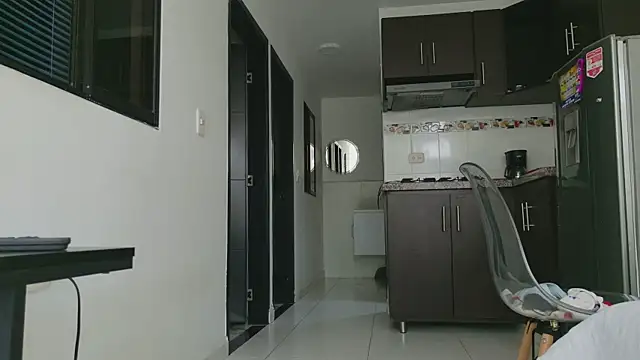 grey___27 webcam