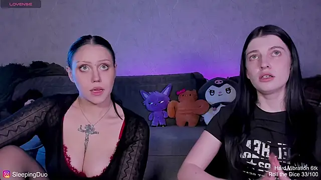 SleepingDuo webcam