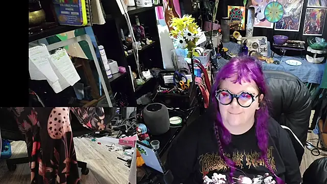 Sinstresshemlock webcam