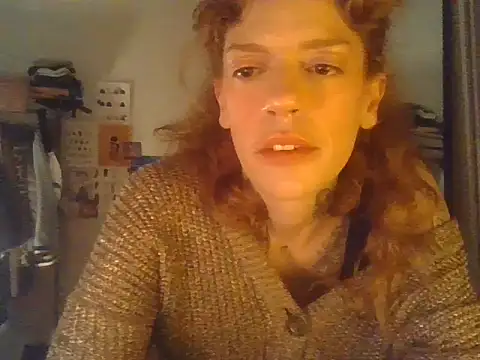 plsmecha webcam