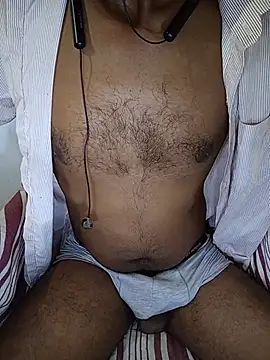 SL-Robinsan webcam