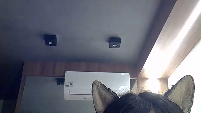 SkinnyKitten webcam