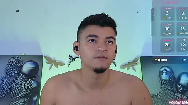 VikoHands webcam