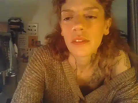 plsmecha webcam