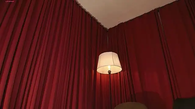 Alice-blaker webcam
