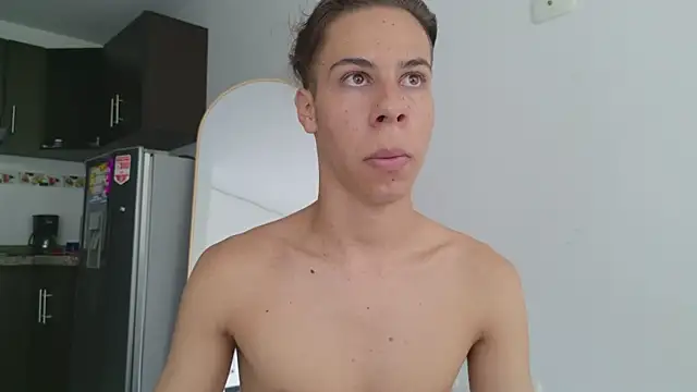 grey___27 webcam