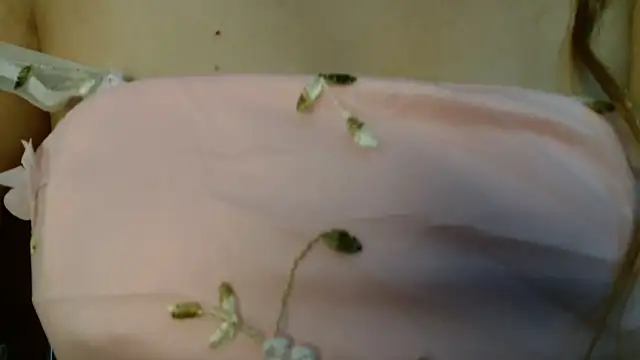 3littles webcam