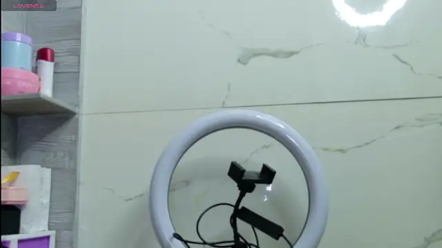 Moonceleste webcam