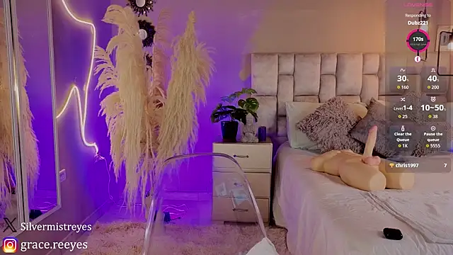 Silvermistt webcam