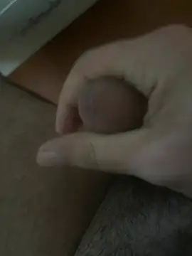 dragon_ndragos