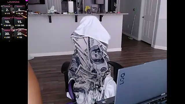 ReeseZen webcam