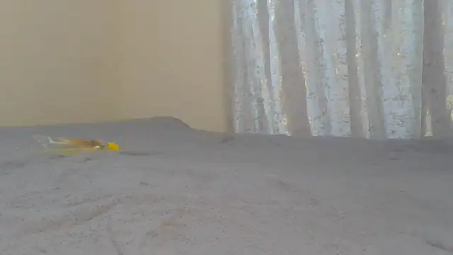 ndivhuwomuleya webcam
