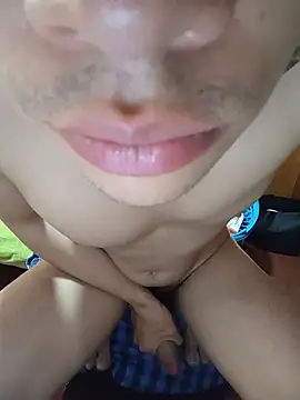 NekoboiPetiole webcam