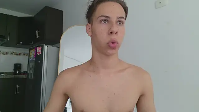 grey___27 webcam