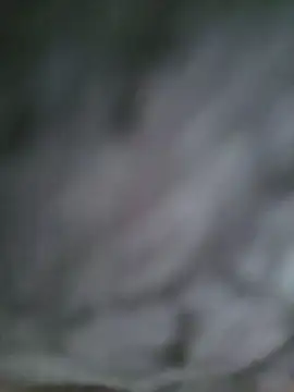 VickyHoult webcam