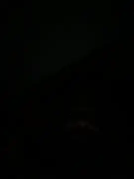 ShaniNsula2026 webcam