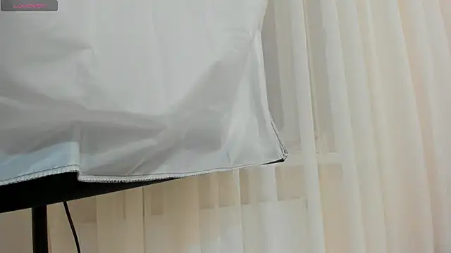 Greys_Fox webcam