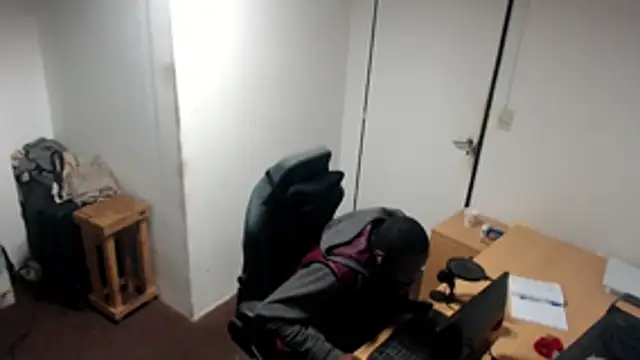 Mastertopdome webcam