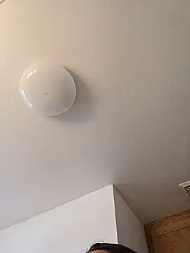 _the_lion webcam