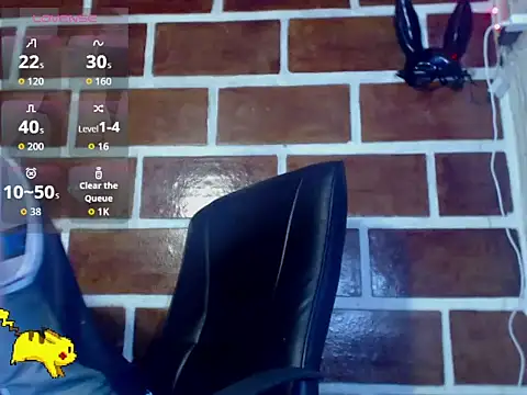 Steeve_Hard webcam