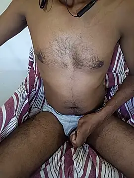 SL-Robinsan webcam