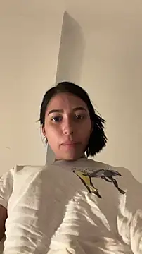 LinaMvp webcam