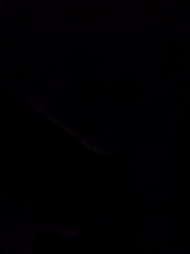 DigCrok webcam