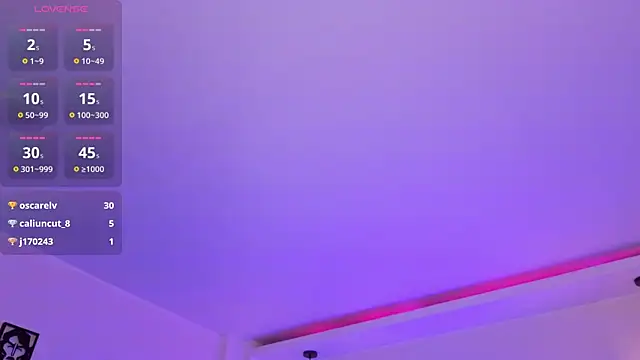 Miller_Vanessa_ webcam