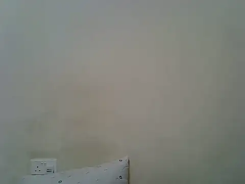 berrynova webcam