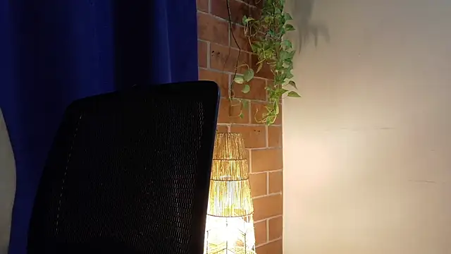 David-Nova_ webcam