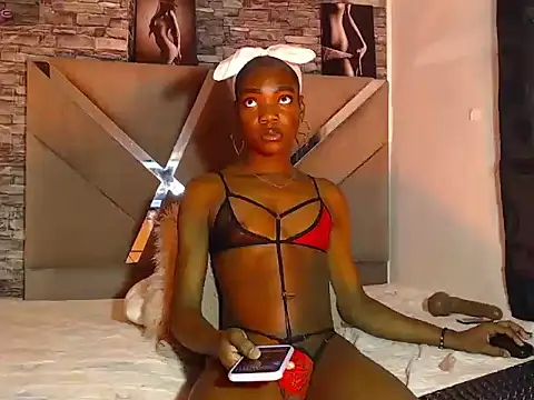 black_tsx webcam