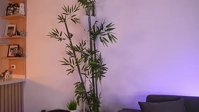 JessicaPratt live cam on StripChat