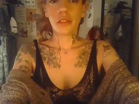 plsmecha webcam