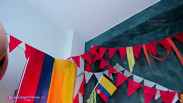 GingerMoon_ webcam