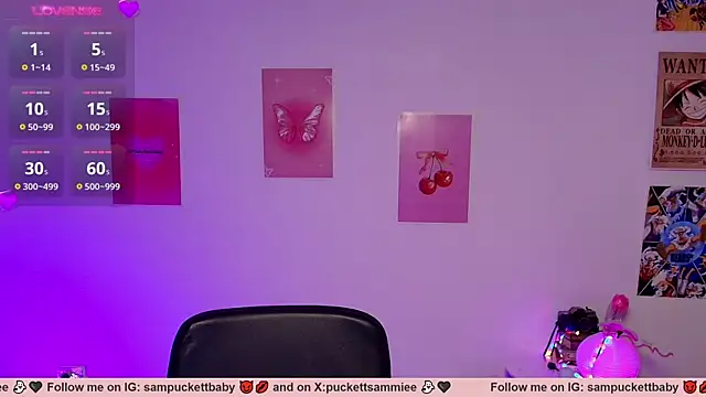 Sampuckettbaby webcam