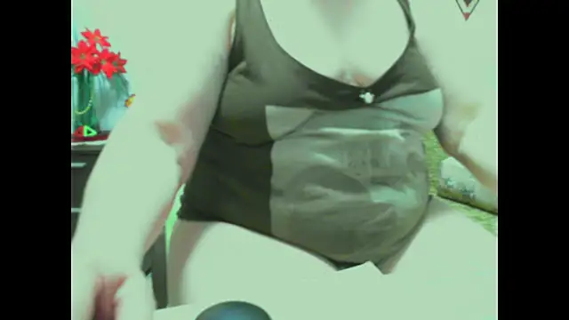 Hyllda webcam