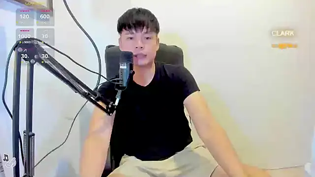 clarkdangerous webcam