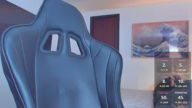 RJBarto webcam