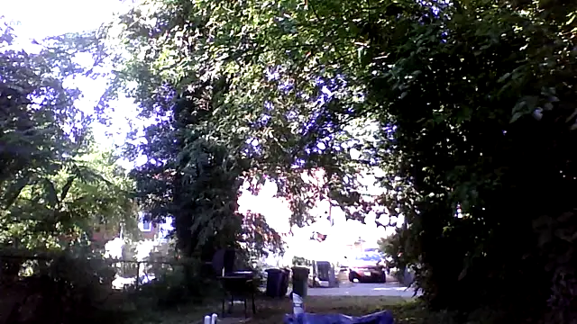 BedazedFirefly webcam
