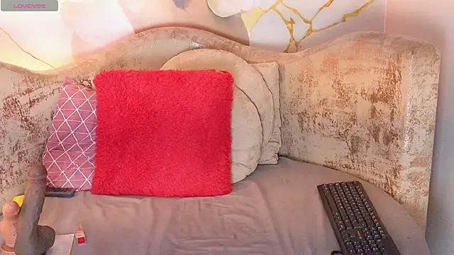 nylaroyale_cr webcam