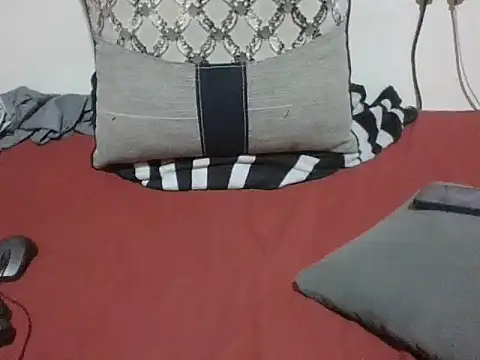 evethegurl webcam