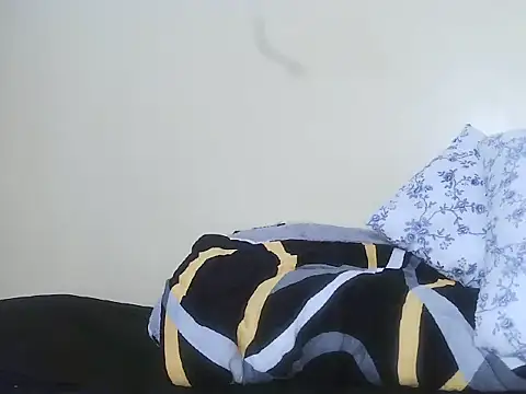 Tiff2030 webcam