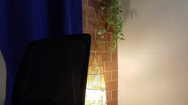 David-Nova_ webcam